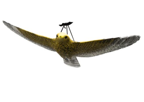 DUŻY JASTRZĄB W LOCIE ODSTRASZACZ PTAKÓW