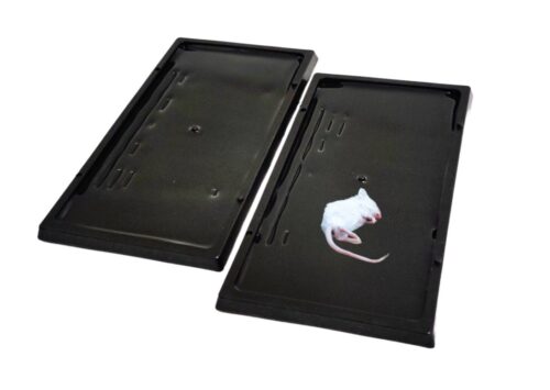 PLASTIKOWY LEP NA GRYZONIE Z AROMATEM ORZECHOWO-WIŚNIOWYM