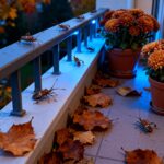 Jak zwalczyć wtyka amerykańskiego