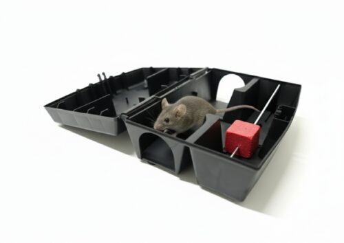 AF ATOM Stacja deratyzacyjna na myszy i szczury.