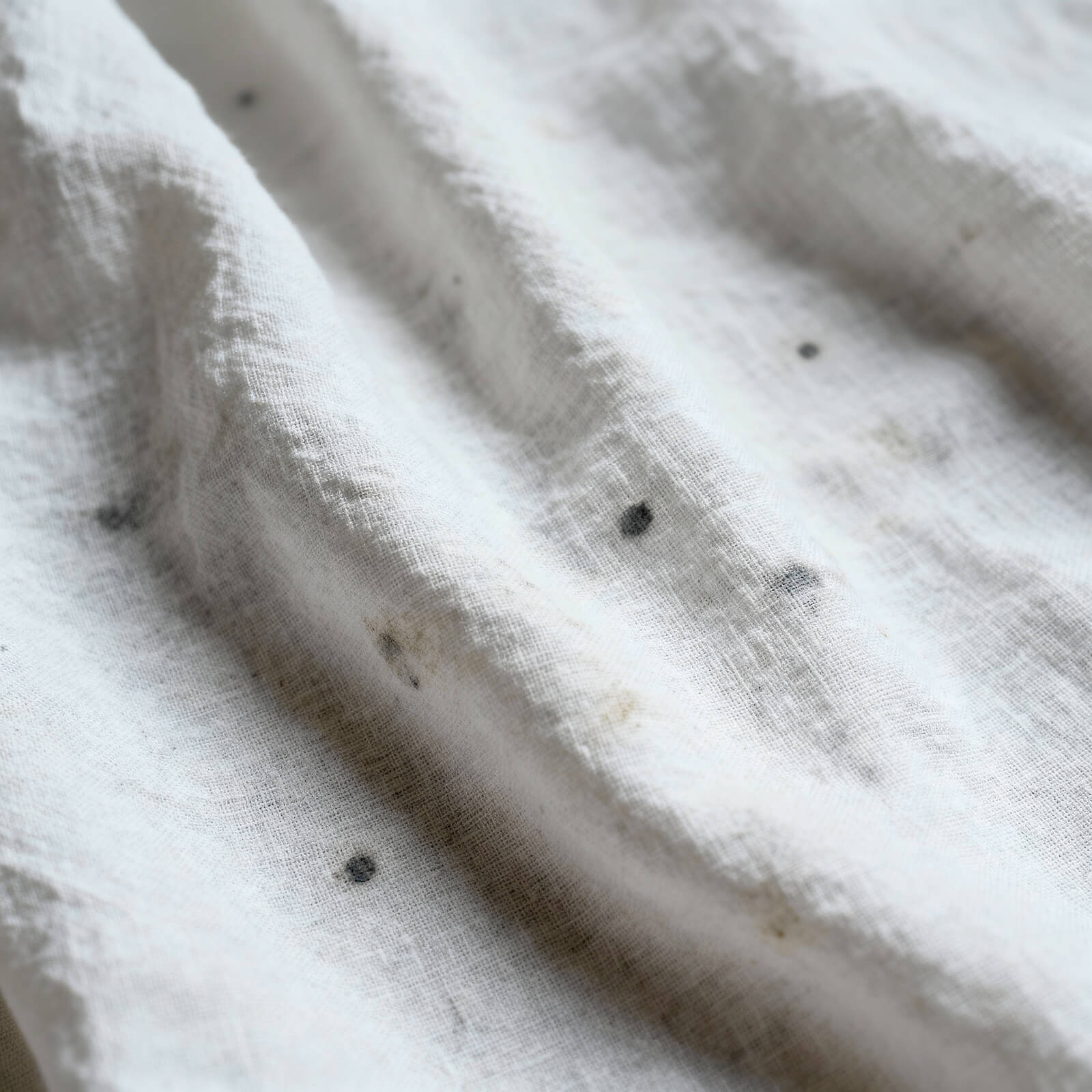 odchody pluskiew na pościeli