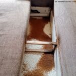 Pluskwy w łóżku – silna infestacja konstrukcji łóżka.